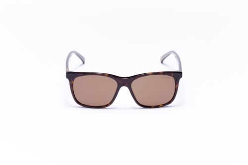 unisex, handmade, wayfarer brown tartaruga acetate sunglasses