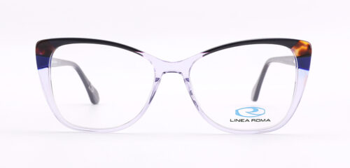 An elegant, crystal transparent frame combined with black and matching color temples