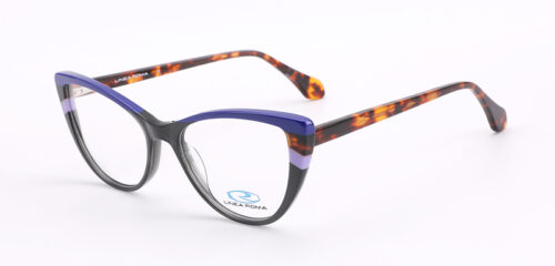An elegant, black combined with blue, frame and brown tartaruga temples