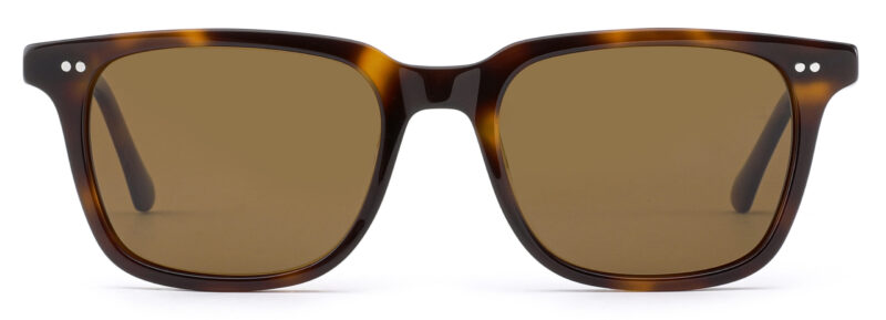 Unisex, casual frame and temples in brown tartaruga color, with brown color polarized lenses