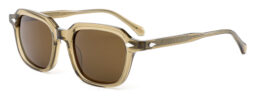 Unisex, casual frame and temples in transparent brown color, with brown color polarized lenses